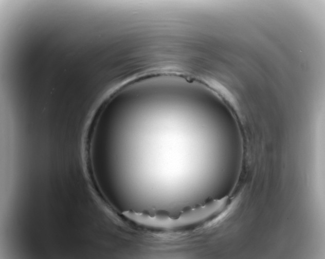 X0000088720989200706071616