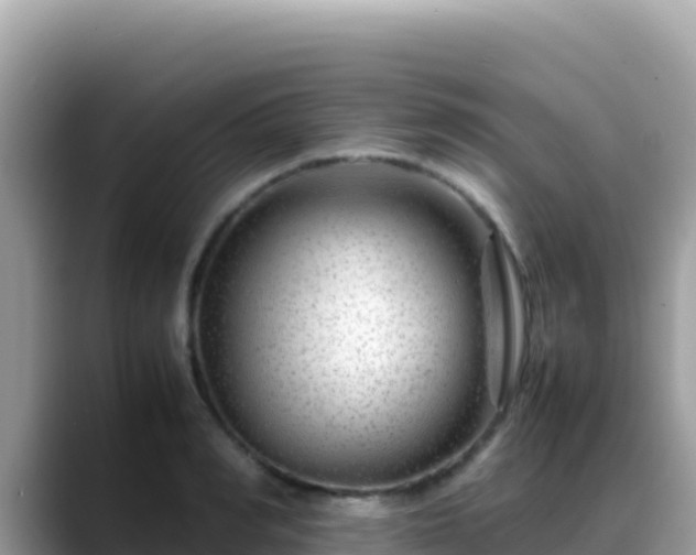 X0000088720990200706071616