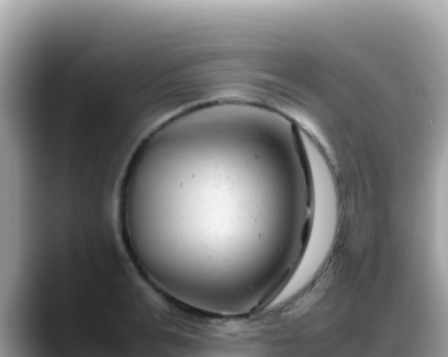 X0000088720991200706071616
