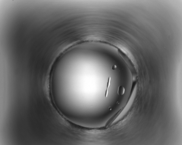X0000088720992200706071616