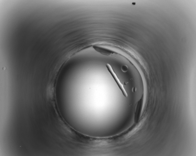 X0000088720993200706071616