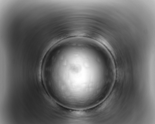 X0000088720994200706071616