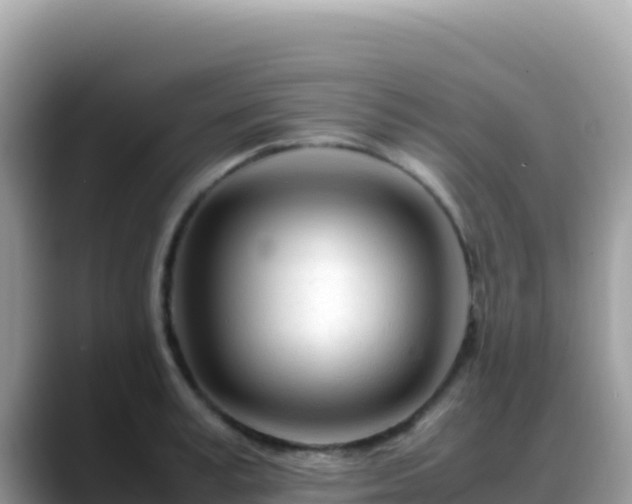 X0000088720995200706071616