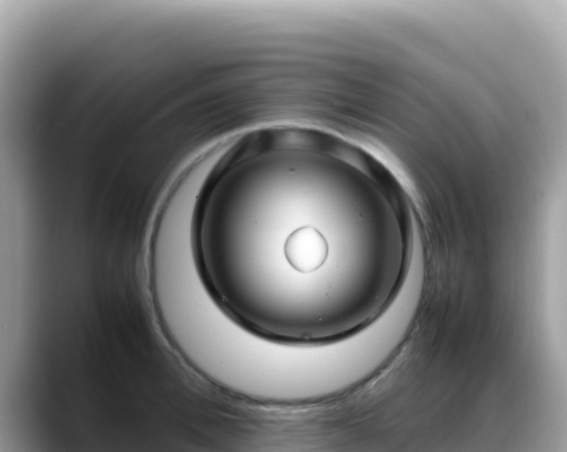 X0000088720996200706071616