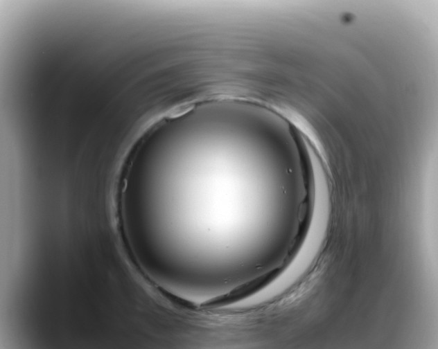 X0000088720997200706071616