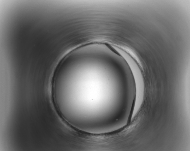 X0000088720999200706071616