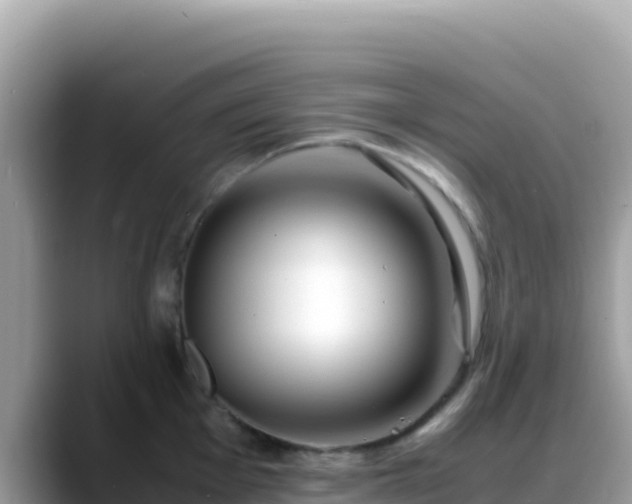 X0000088721001200706071616