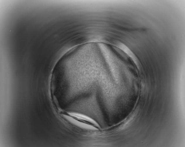 X0000088721002200706071616