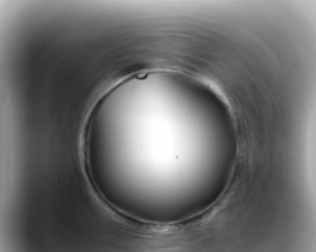 X0000088721003200706071616