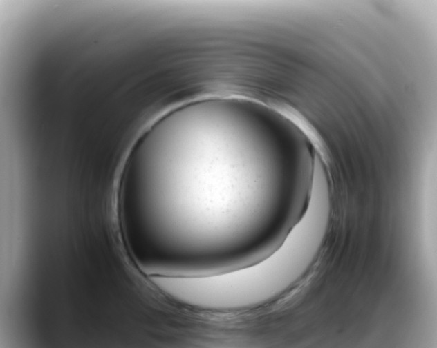 X0000088721004200706071616