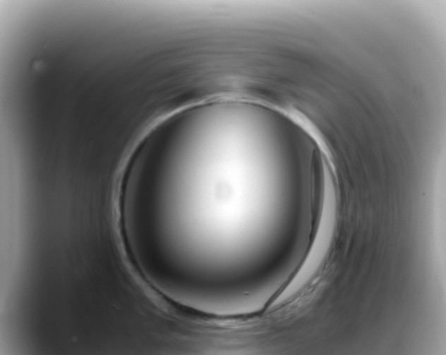 X0000088721005200706071616