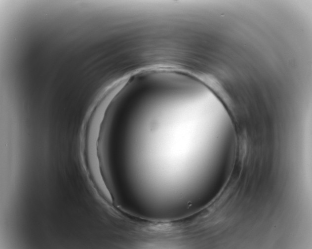 X0000088721006200706071616