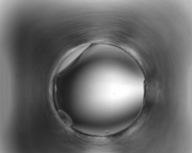 X0000088721007200706071616