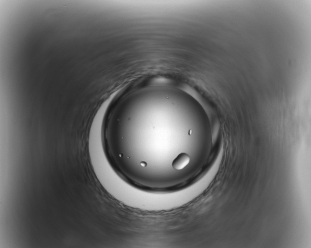 X0000088721010200706071615