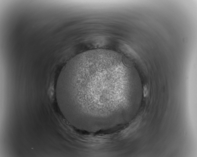 X0000088721011200706071615