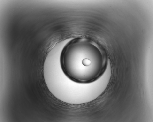 X0000088721012200706071615