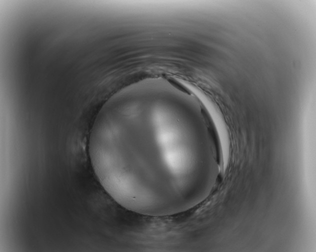 X0000088721013200706071615