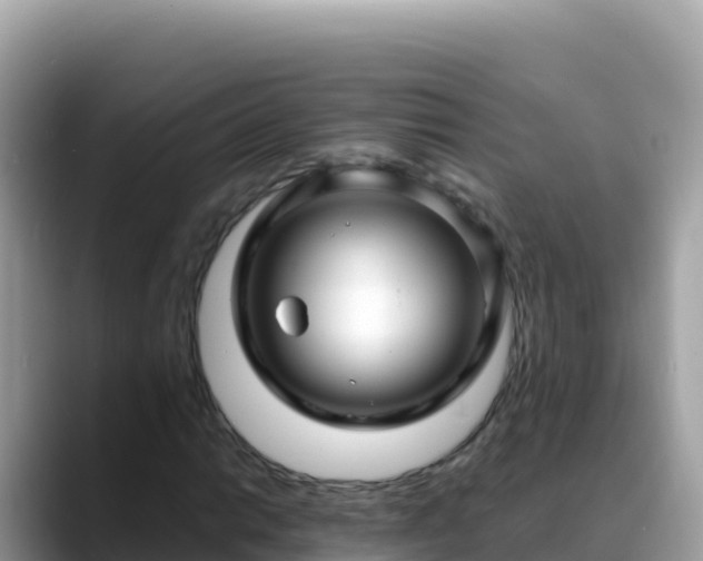 X0000088721014200706071615