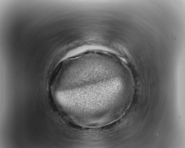 X0000088721016200706071615