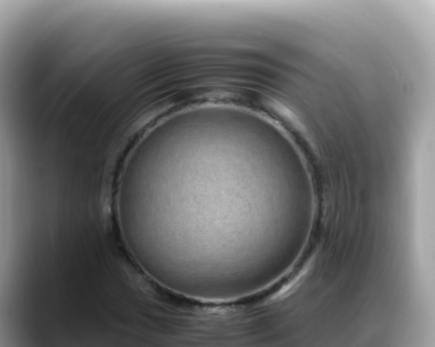 X0000088721017200706071615