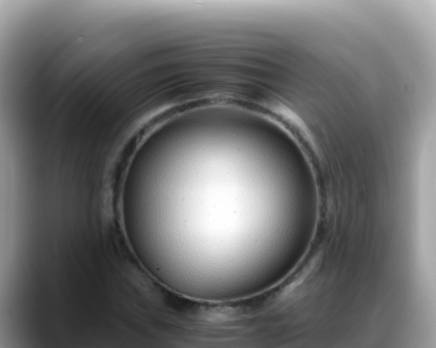X0000088721019200706071615