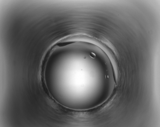 X0000088721020200706071615