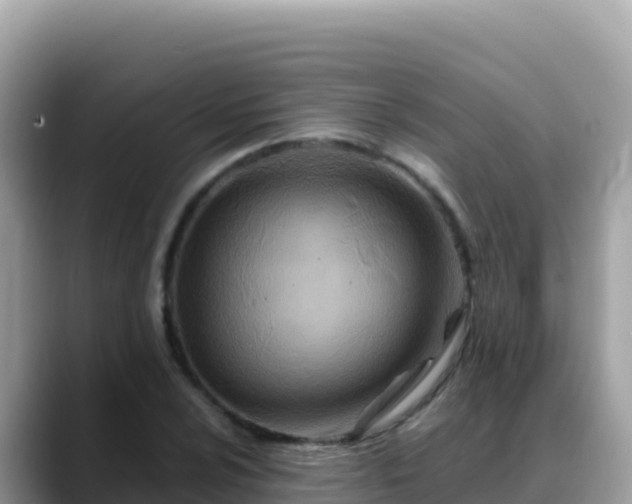 X0000088721024200706071615