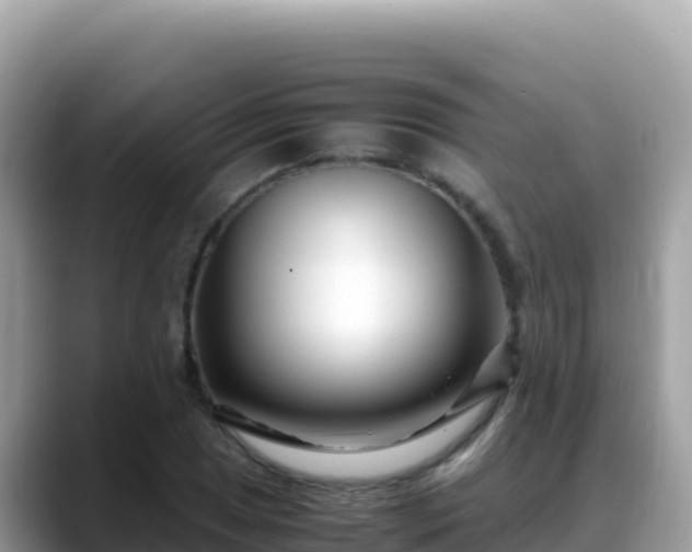 X0000088721025200706071615