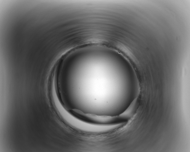 X0000088721026200706071615