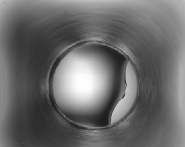 X0000088721028200706071615