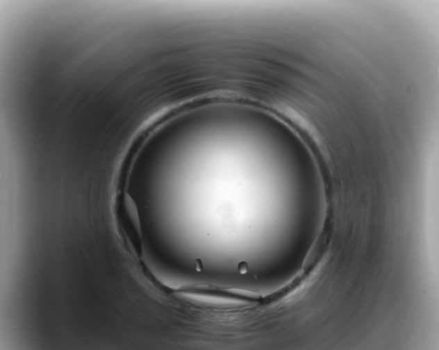 X0000088721029200706071616