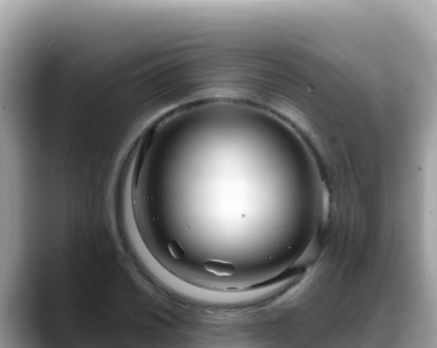 X0000088721030200706071616