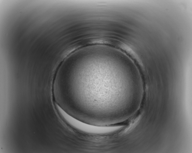 X0000088721033200706071616