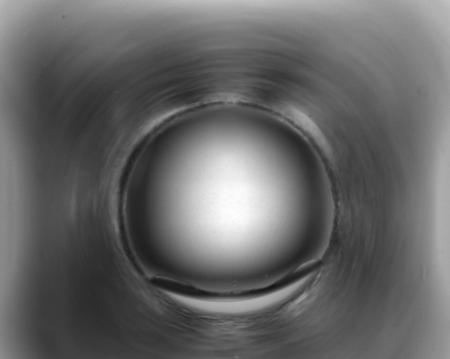 X0000088721035200706071616
