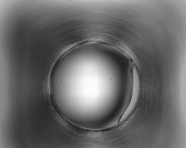 X0000088721036200706071616