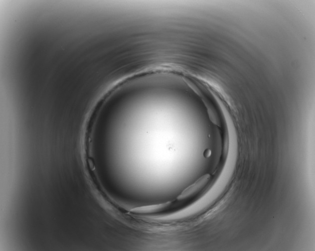 X0000088721038200706071616