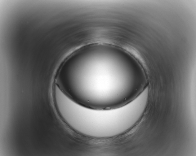 X0000088721040200706071616