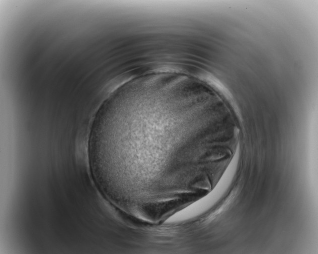 X0000088721041200706071616