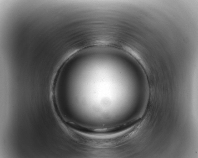 X0000088721042200706071616