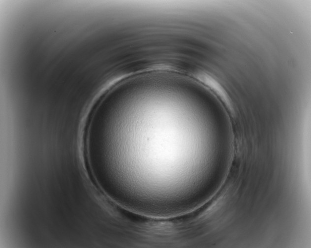 X0000088721043200706071616