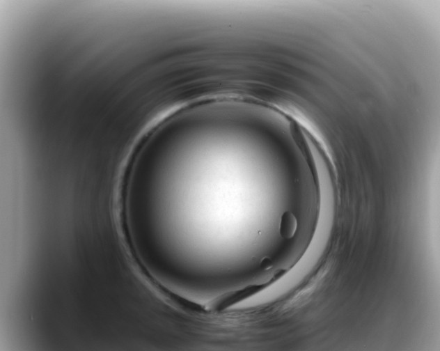 X0000088721045200706071616