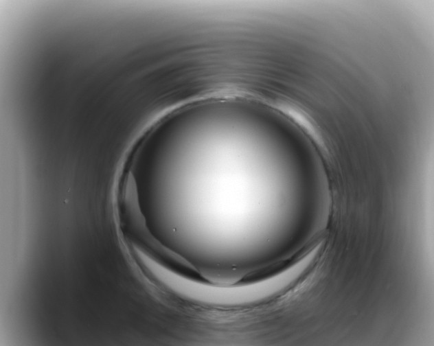 X0000088721046200706071616