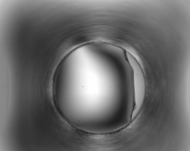 X0000088721048200706071616