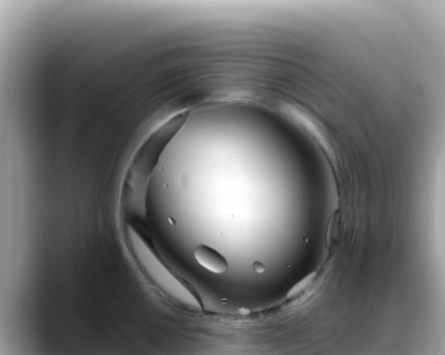 X0000088721050200706071616