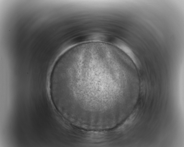 X0000088721051200706071616