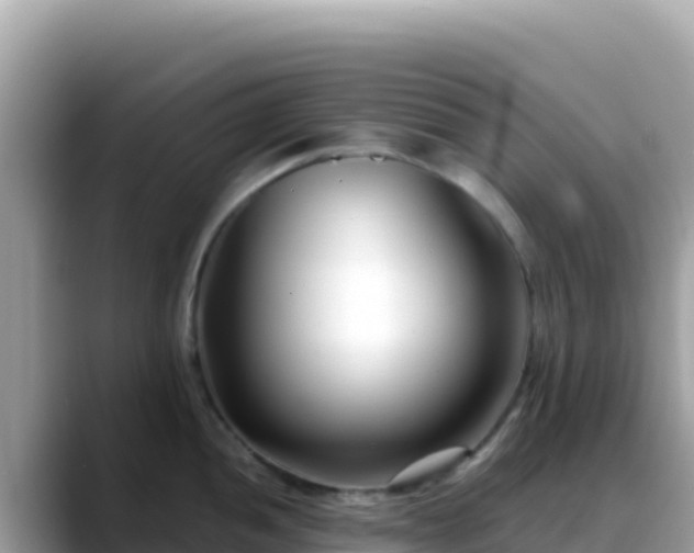 X0000088721052200706071616