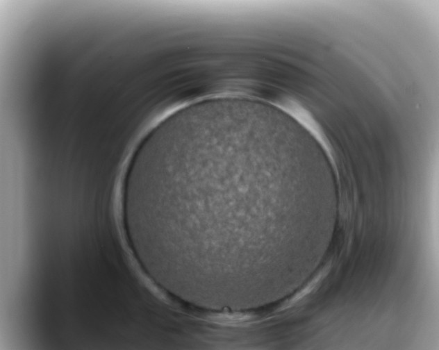 X0000088721053200706071616