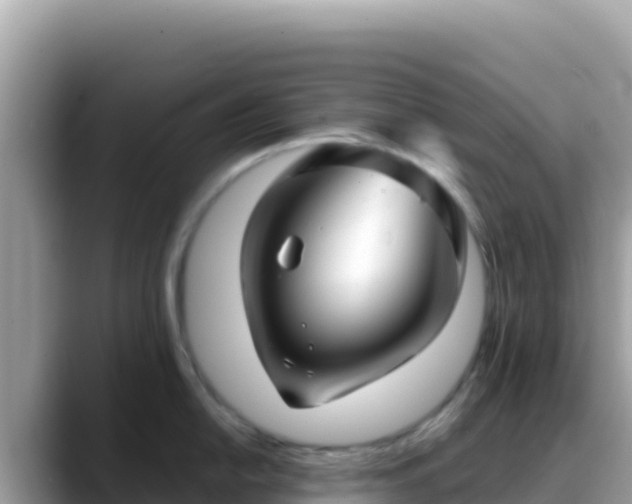 X0000088721054200706071616