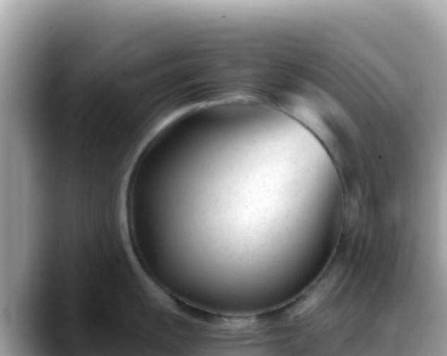 X0000088721055200706071616