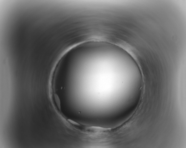 X0000088721056200706071616